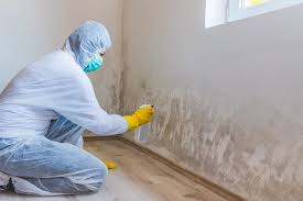 Environmental Consulting for Mold Prevention in La Quinta, CA