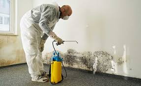 Mold Remediation for Rental Properties in La Quinta, CA