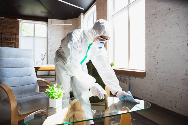 Best Commercial Mold Inspection  in La Quinta, CA